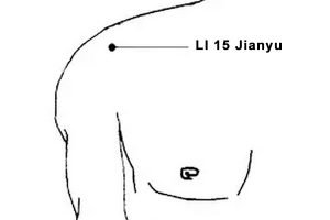 Jianyu Acupoint:LI 15 Acupuncture Point Or Large Intestine LI 15 ...