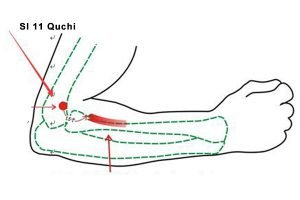 Li 11 Quchi Acupoint:LI 11 Acupuncture Point Or Large Intestine LI 11 ...